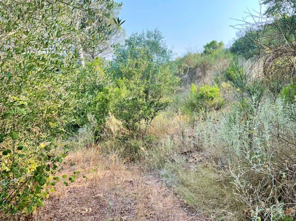 Земля на Корфу, Греция, 21 000 м² - фото 17