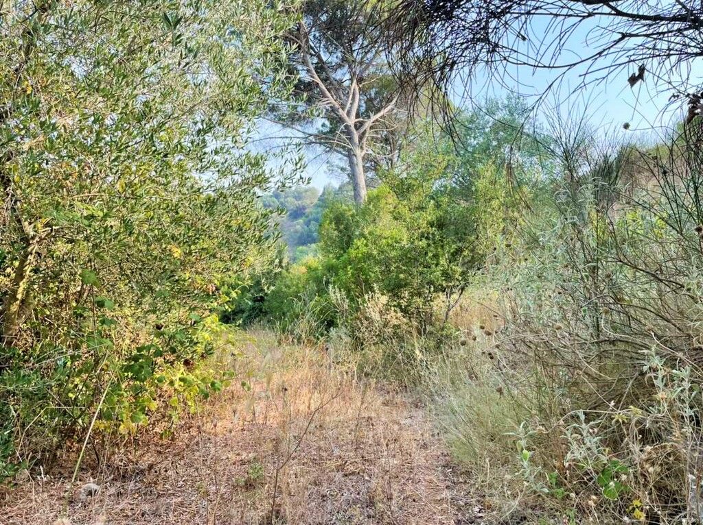 Земля на Корфу, Греция, 21 000 м² - фото 18