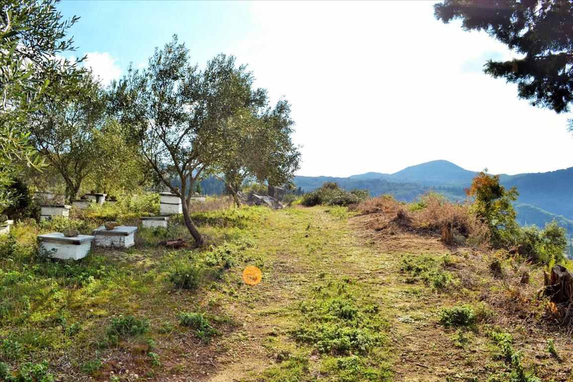 Земля на Корфу, Греция, 15 000 м² - фото 18