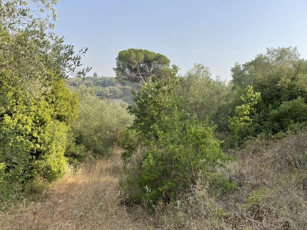 Земля на Корфу, Греция, 21 000 м² - фото 19