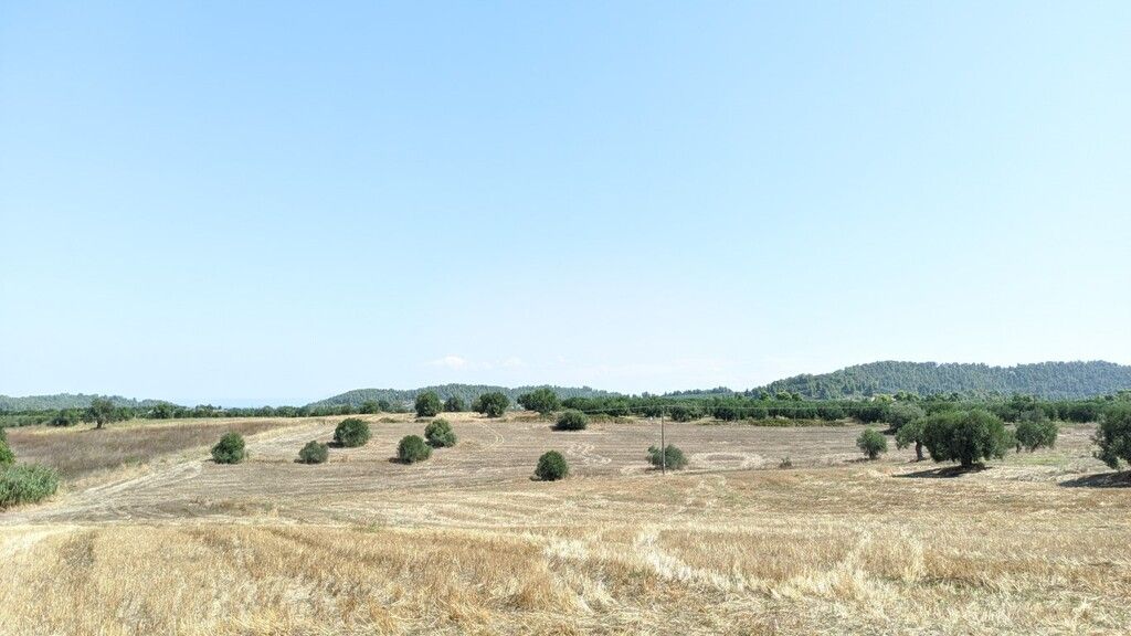 Земля на Кассандре, Греция, 12 000 м2 - фото 1