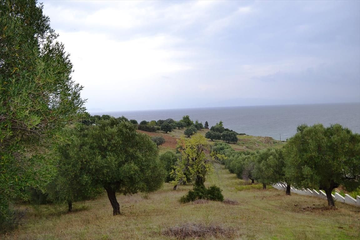 Земля на Халкидиках, Греция, 8 404 м2 - фото 1