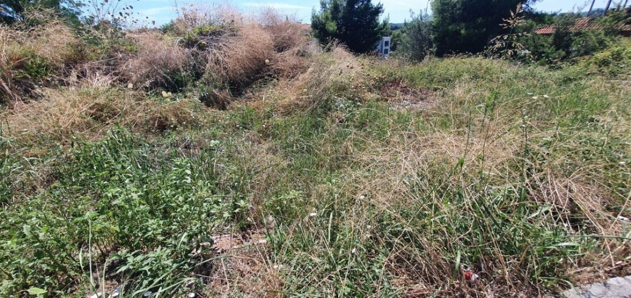 Земля на Кассандре, Греция, 500 м² - фото 2