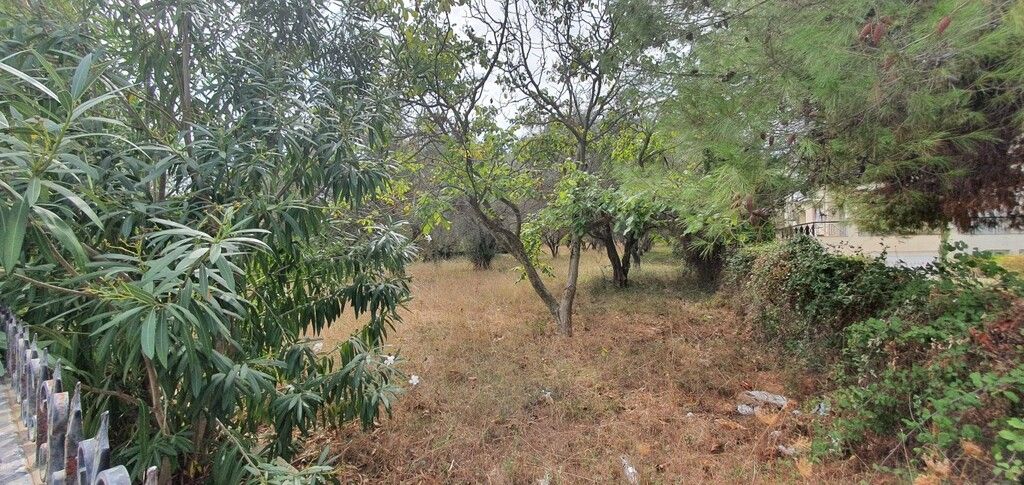 Земля на Кассандре, Греция, 2 000 м² - фото 2