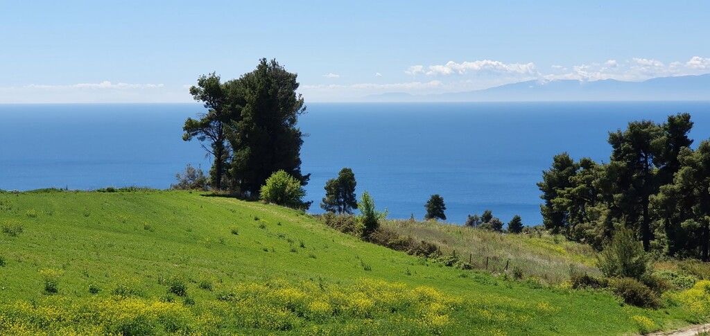 Земля на Кассандре, Греция, 11 000 м² - фото 2