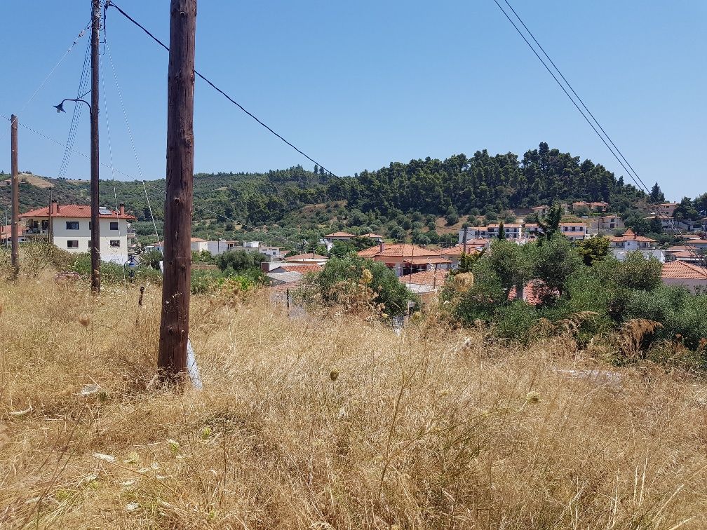 Земля на Кассандре, Греция, 1 204 м² - фото 2