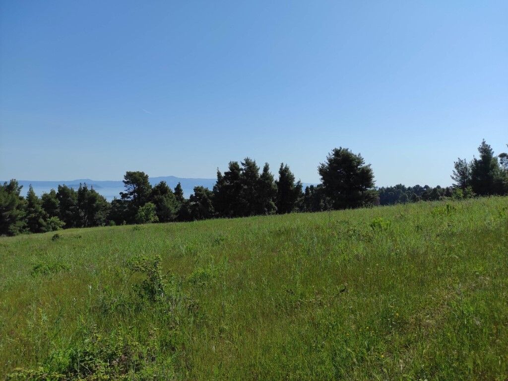 Земля на Кассандре, Греция, 4 218 м² - фото 2