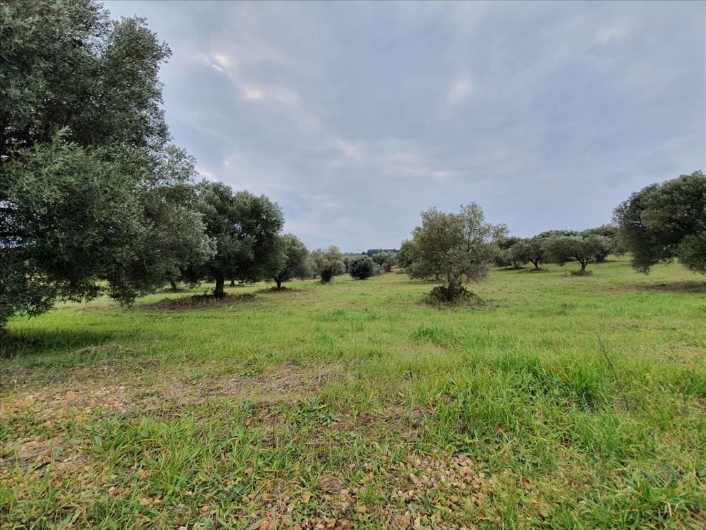 Земля на Кассандре, Греция, 10 000 м² - фото 2