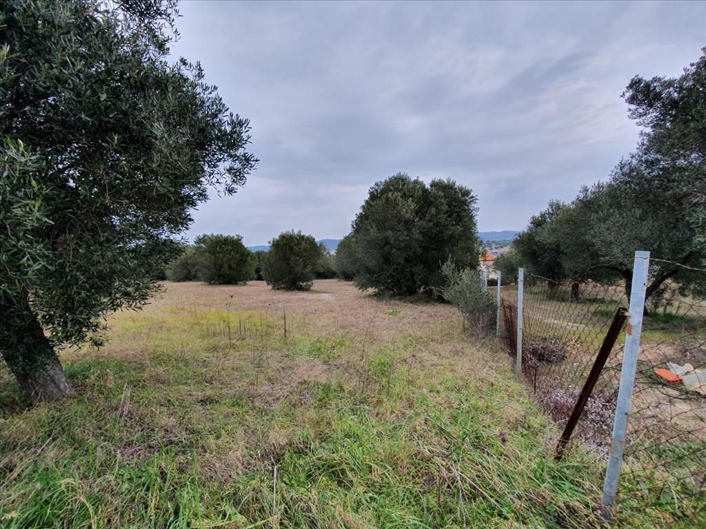 Земля на Кассандре, Греция, 5 500 м² - фото 2