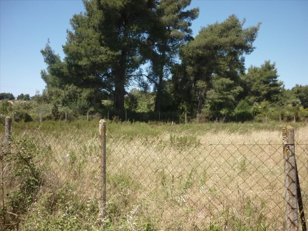 Земля на Кассандре, Греция, 4 248 м² - фото 2