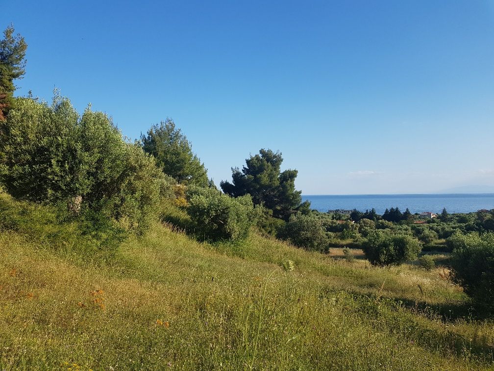 Земля на Кассандре, Греция, 4 500 м² - фото 2