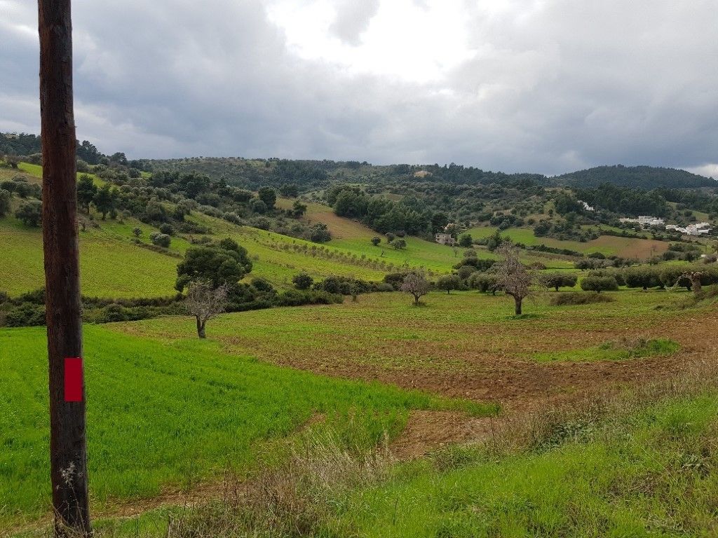 Земля на Кассандре, Греция, 6 000 м² - фото 2