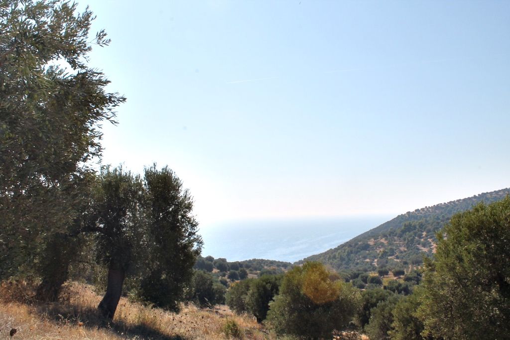 Земля на Кассандре, Греция, 20 000 м² - фото 2