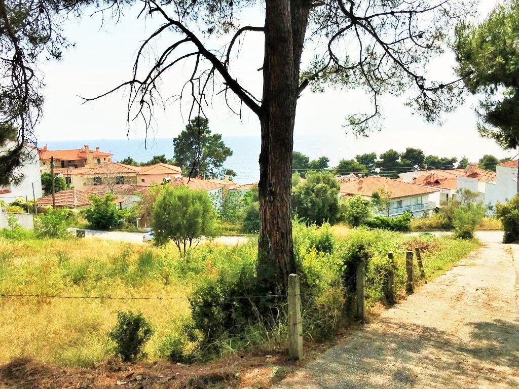 Земля на Кассандре, Греция, 1 330 м² - фото 2