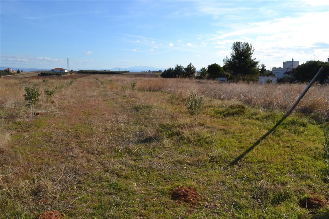 Земля на Кассандре, Греция, 10 000 м² - фото 2