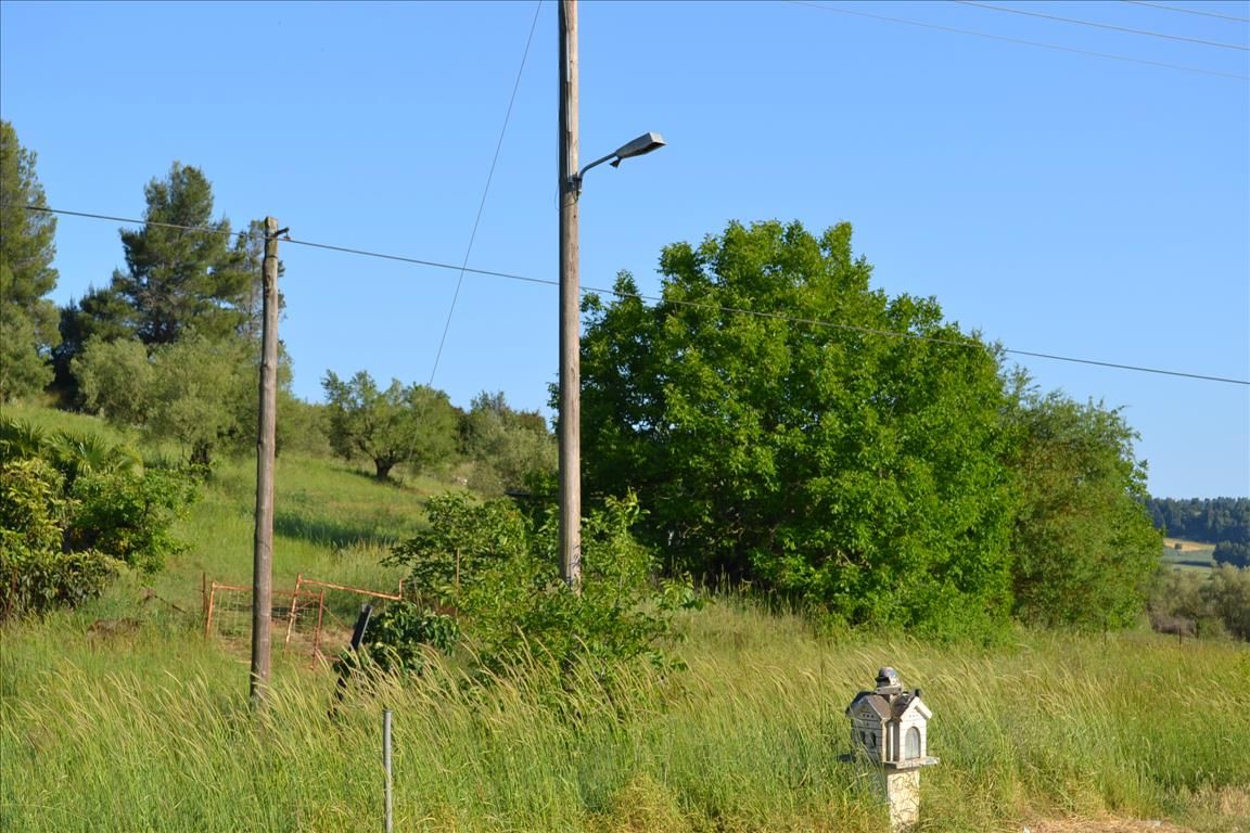 Земля на Кассандре, Греция, 2 300 м² - фото 2