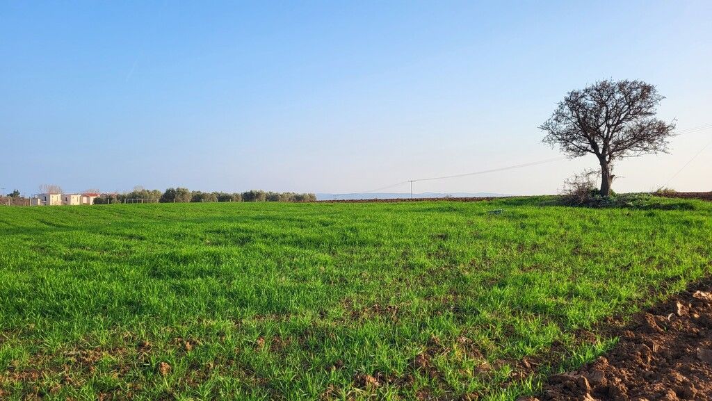 Земля на Кассандре, Греция, 4 344 м² - фото 3