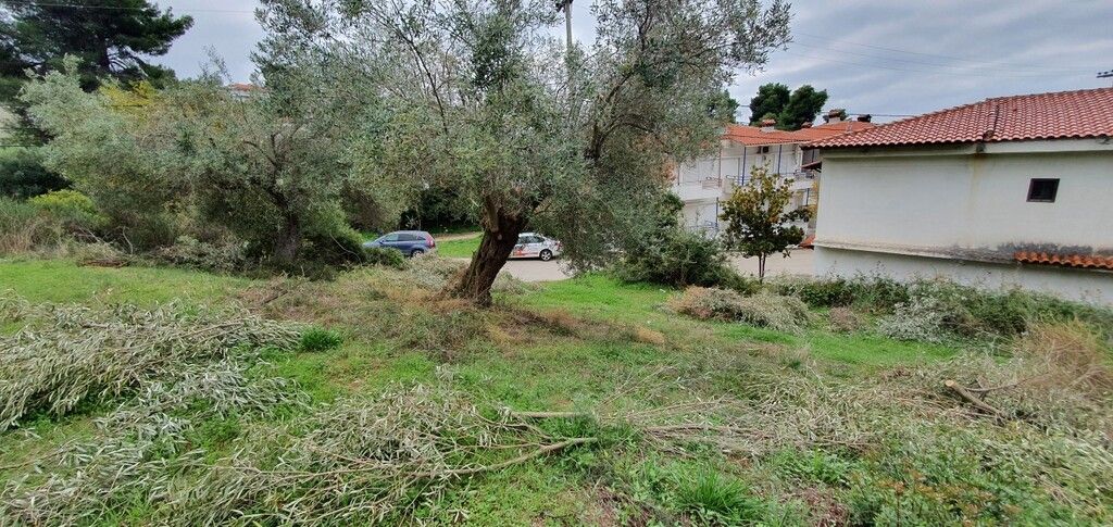 Земля на Кассандре, Греция, 1 424 м² - фото 3