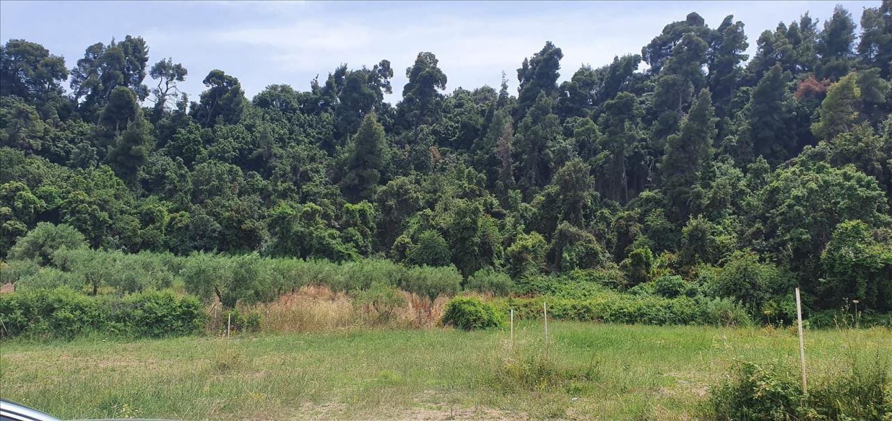 Земля на Кассандре, Греция, 2 000 м² - фото 3