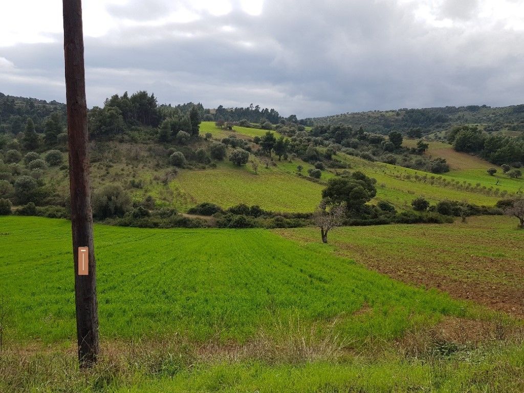 Земля на Кассандре, Греция, 6 000 м² - фото 3