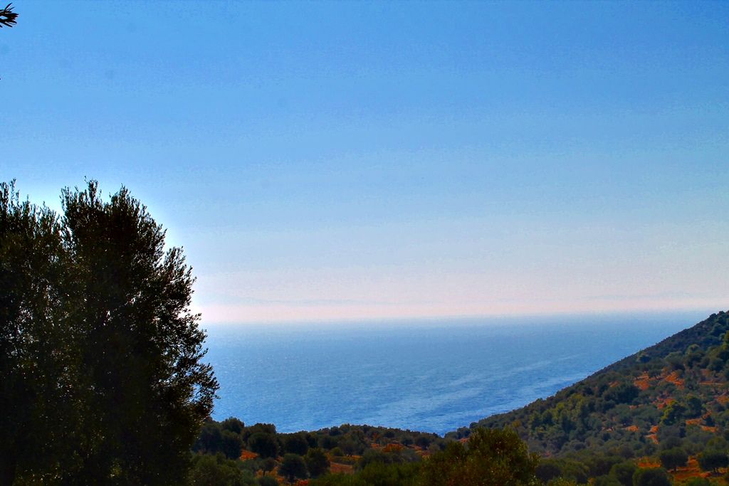 Земля на Кассандре, Греция, 20 000 м² - фото 3