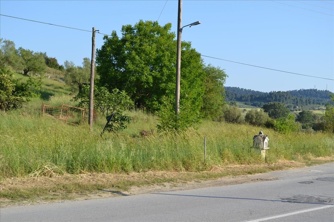 Земля на Кассандре, Греция, 2 300 м² - фото 3