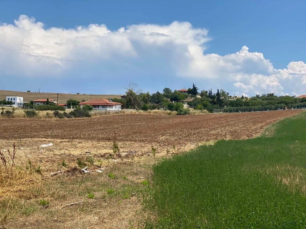 Земля на Кассандре, Греция, 14 500 м² - фото 4