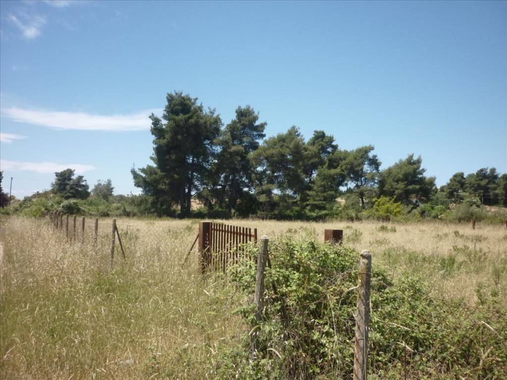 Земля на Кассандре, Греция, 4 248 м² - фото 4