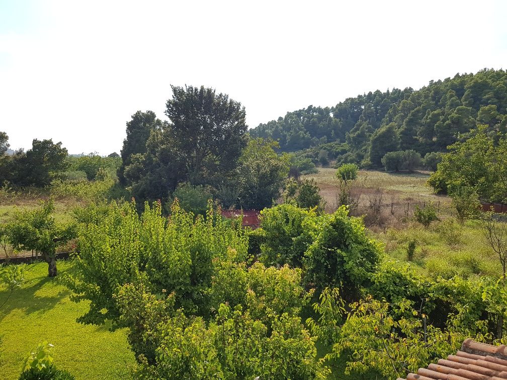 Дом на Кассандре, Греция, 305 м² - фото 4