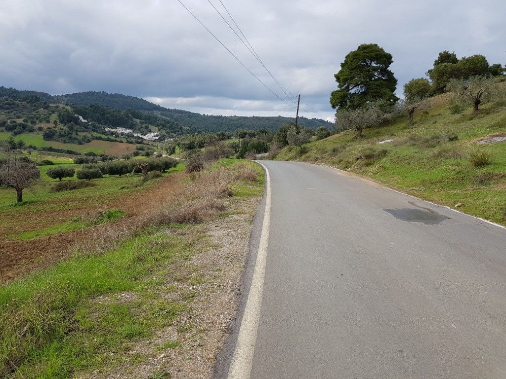 Земля на Кассандре, Греция, 6 000 м² - фото 4