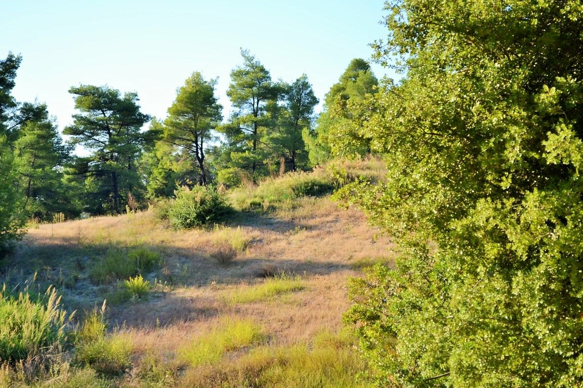 Земля на Кассандре, Греция, 5 230 м² - фото 4