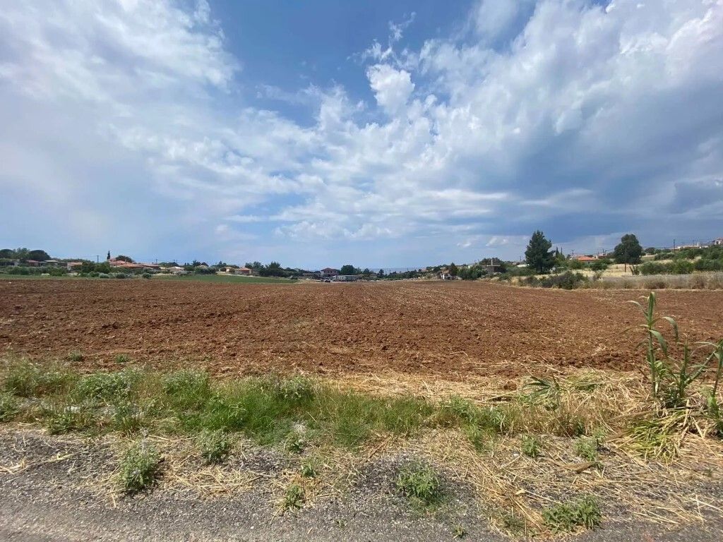 Земля на Кассандре, Греция, 14 500 м² - фото 5