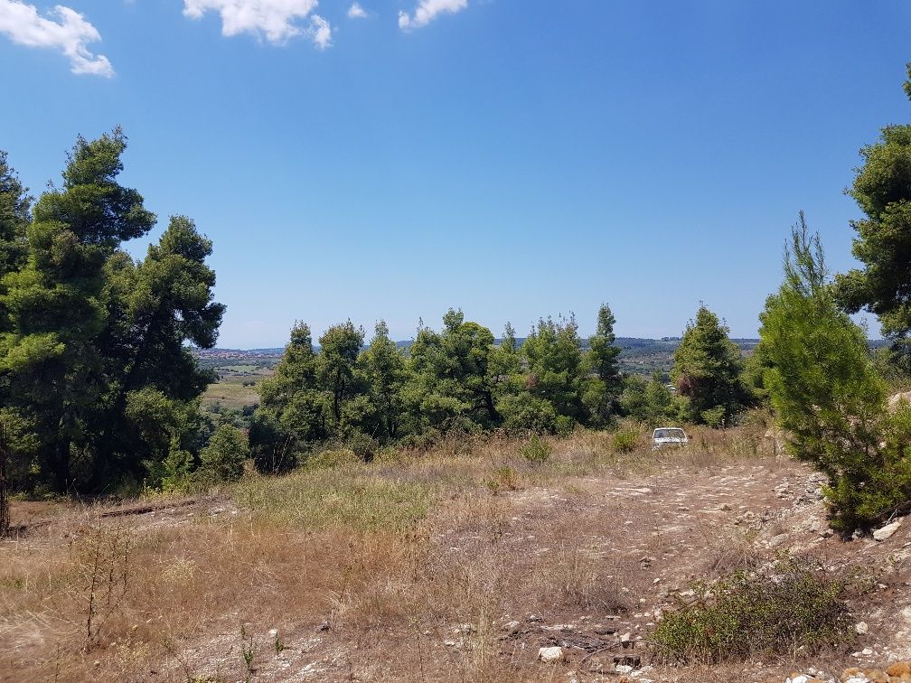 Земля на Кассандре, Греция, 11 000 м² - фото 5