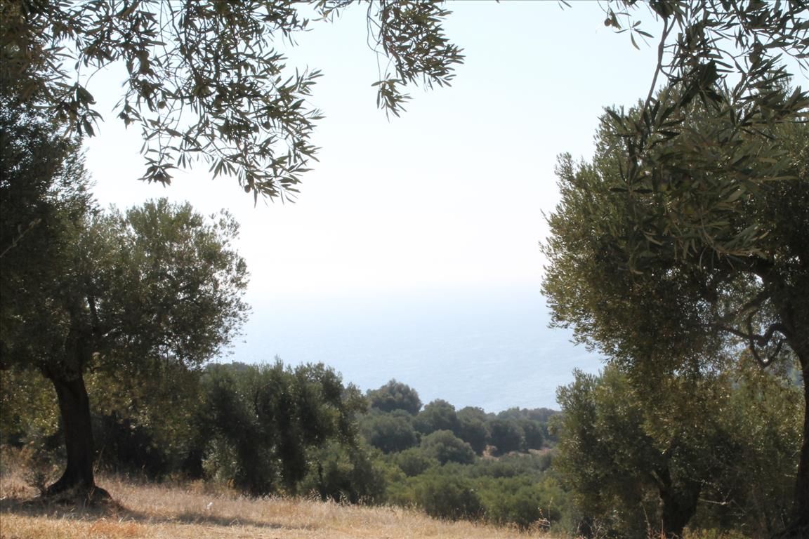 Земля на Кассандре, Греция, 20 000 м² - фото 5