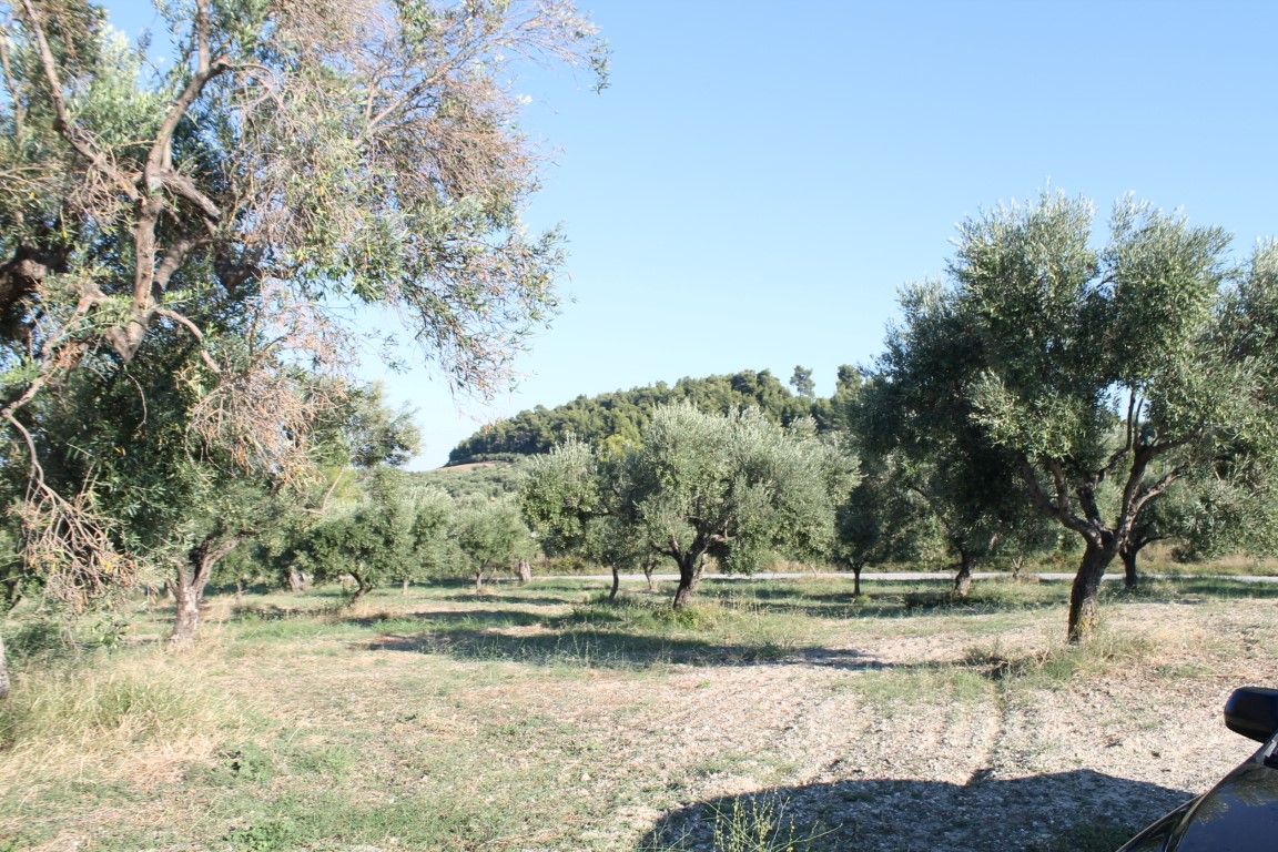 Земля на Кассандре, Греция, 5 058 м² - фото 5