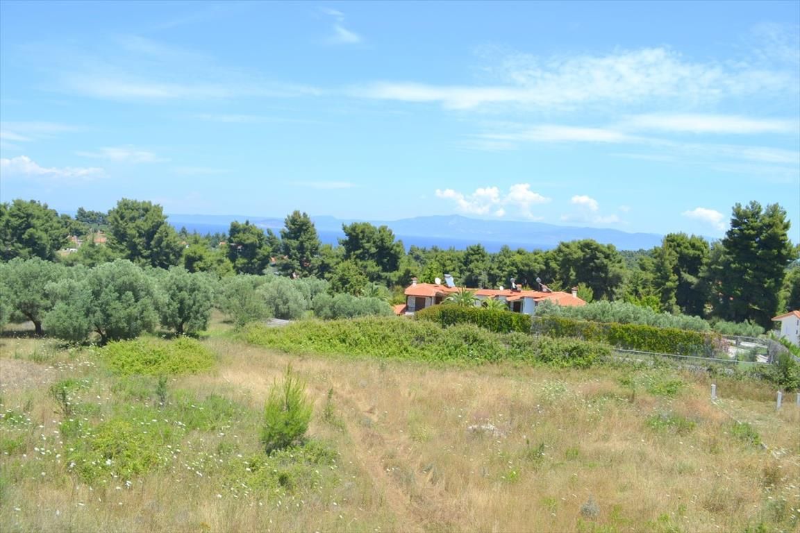 Дом на Кассандре, Греция, 160 м² - фото 5