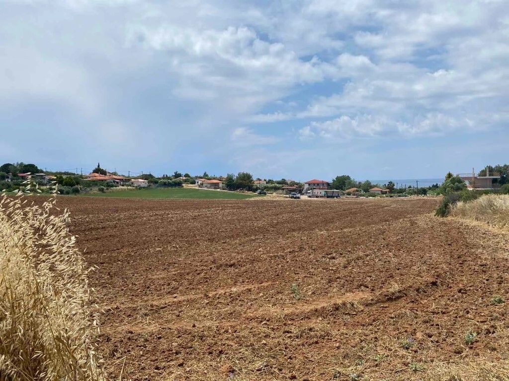 Земля на Кассандре, Греция, 14 500 м² - фото 6