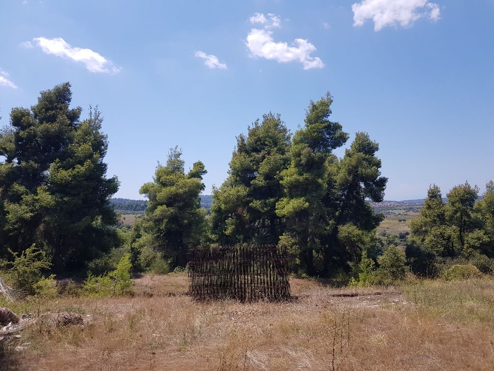 Земля на Кассандре, Греция, 11 000 м² - фото 6
