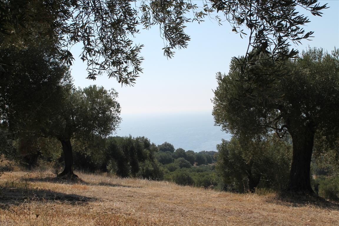 Земля на Кассандре, Греция, 20 000 м² - фото 6
