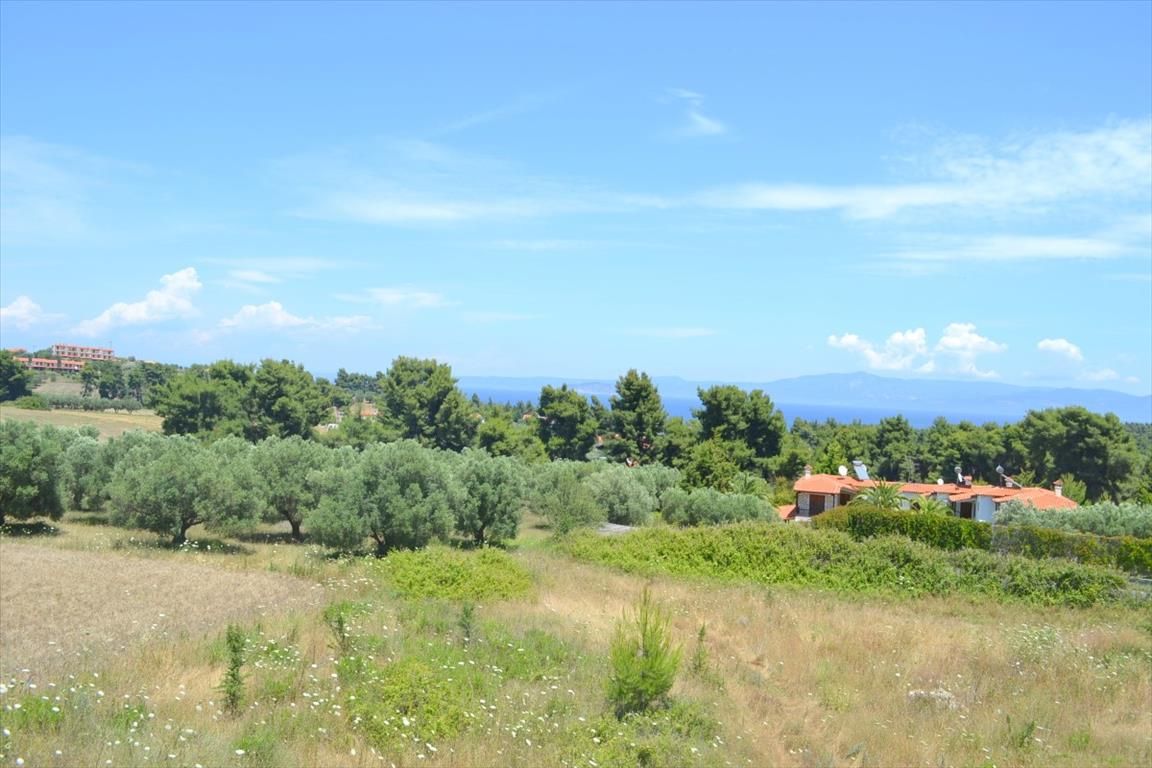 Дом на Кассандре, Греция, 160 м² - фото 6