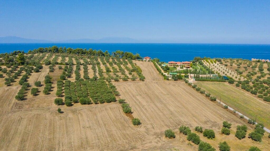 Земля на Кассандре, Греция, 9 900 м² - фото 7