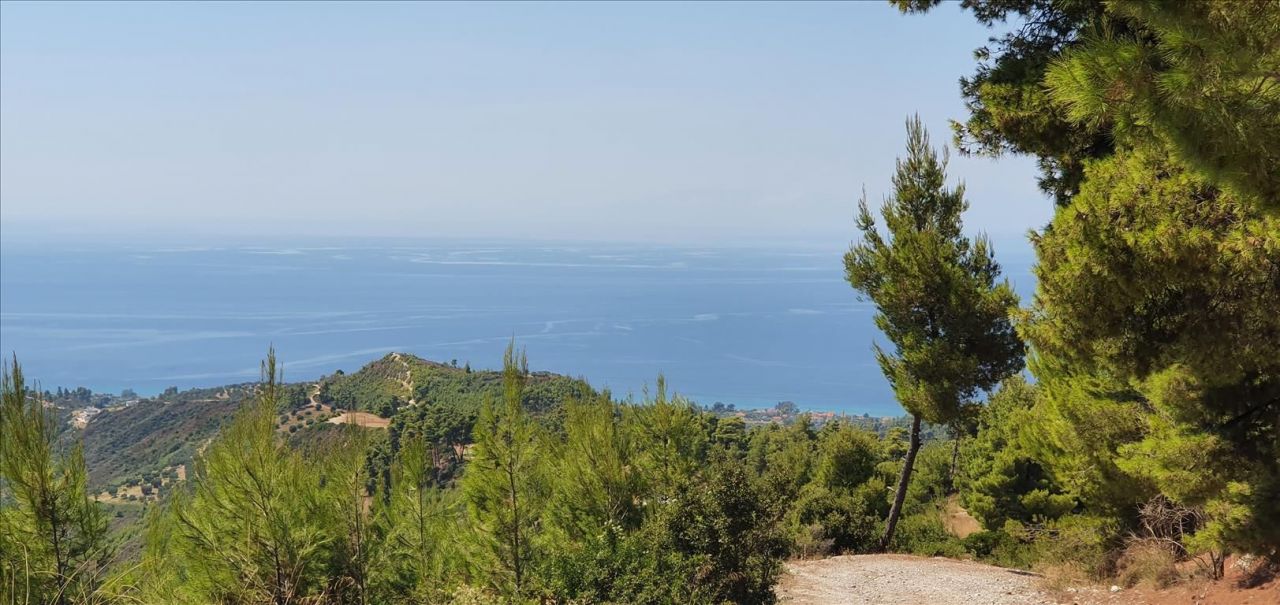 Земля на Кассандре, Греция, 15 000 м² - фото 7