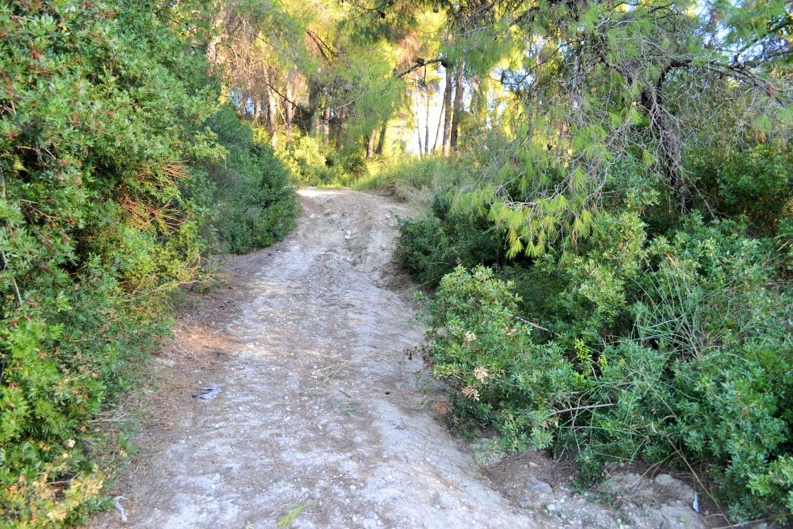 Земля на Кассандре, Греция, 5 230 м² - фото 7