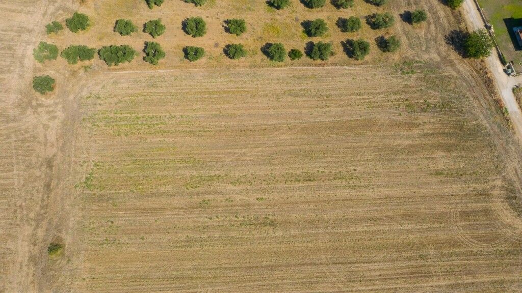 Земля на Кассандре, Греция, 9 900 м² - фото 8