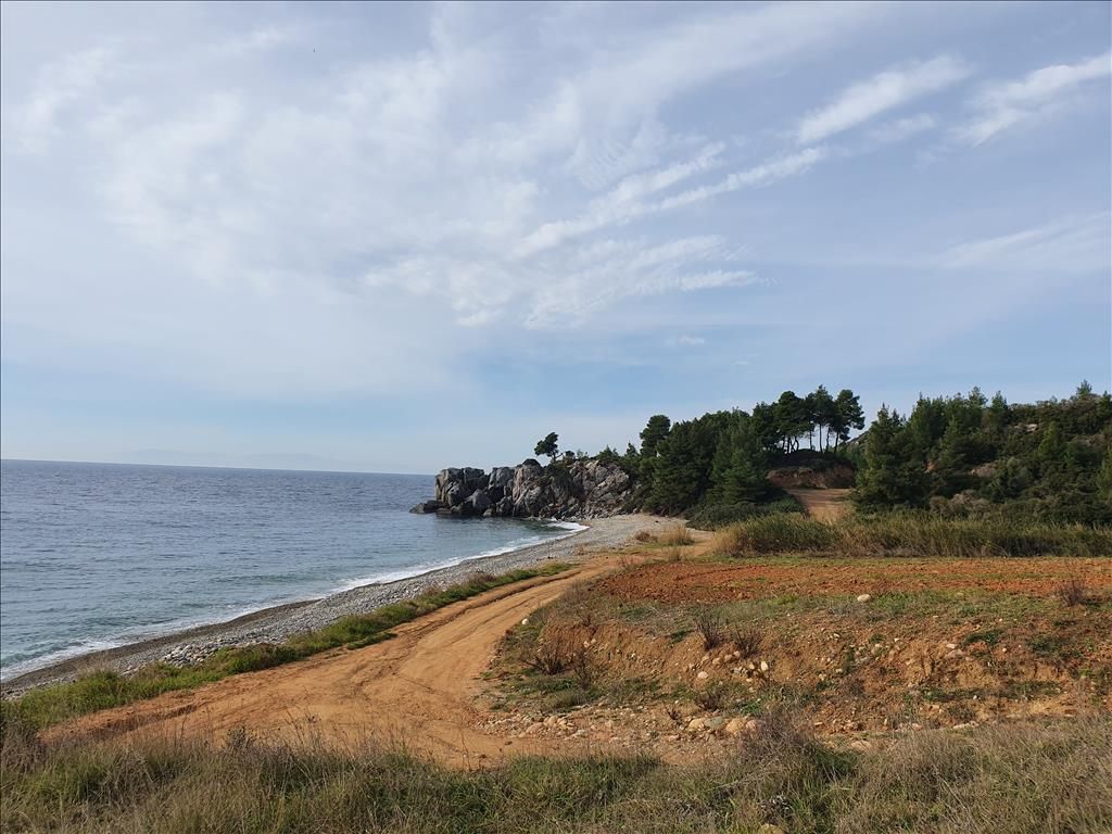 Земля на Кассандре, Греция, 10 000 м² - фото 8