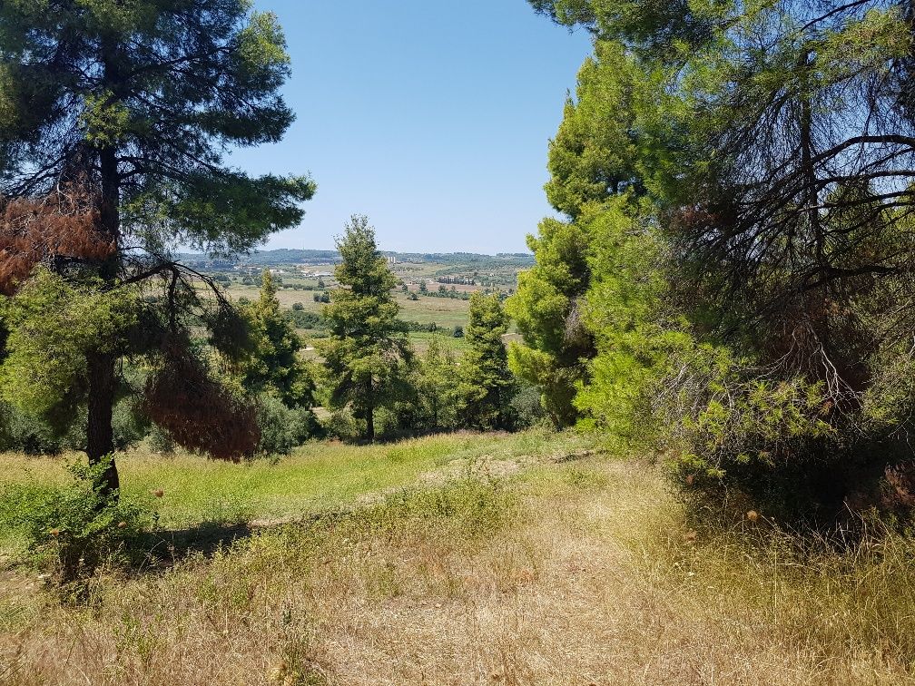 Земля на Кассандре, Греция, 11 000 м² - фото 8