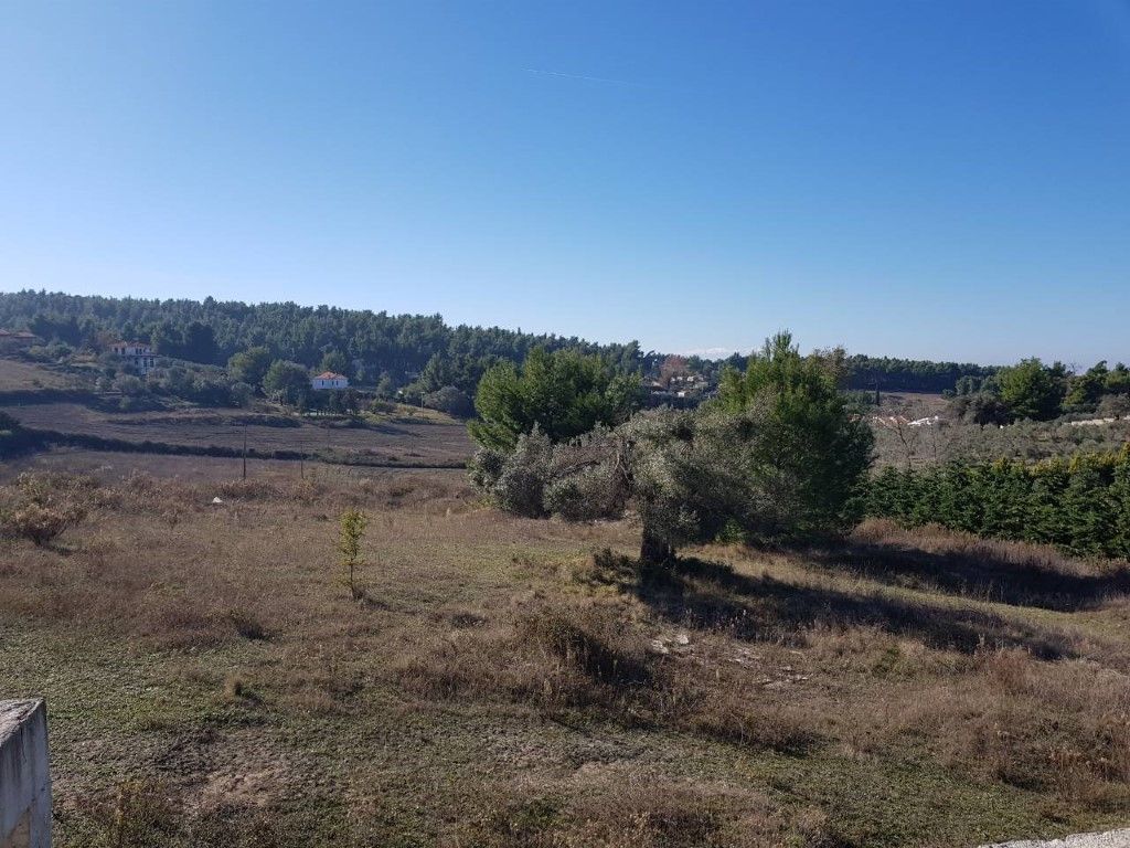 Дом на Кассандре, Греция, 300 м² - фото 8