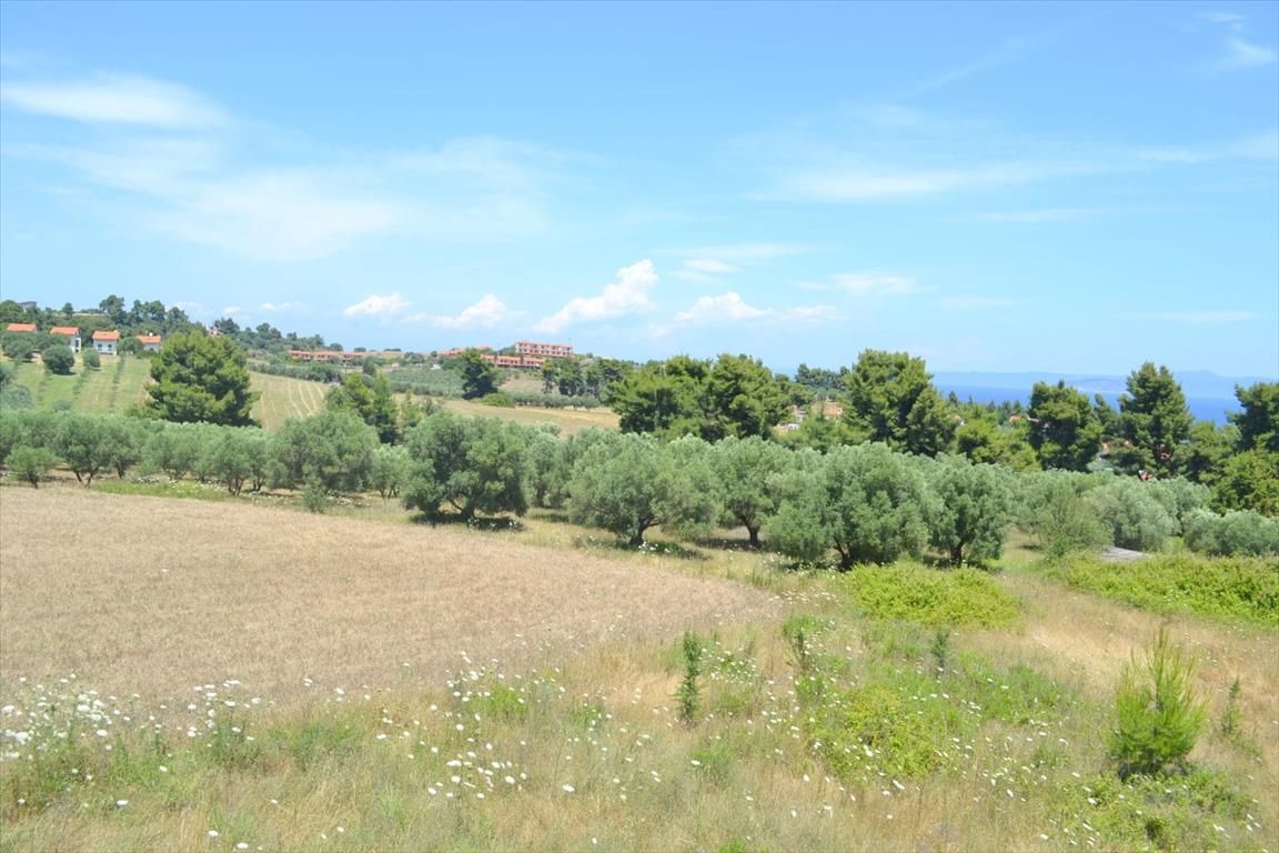 Дом на Кассандре, Греция, 160 м² - фото 8