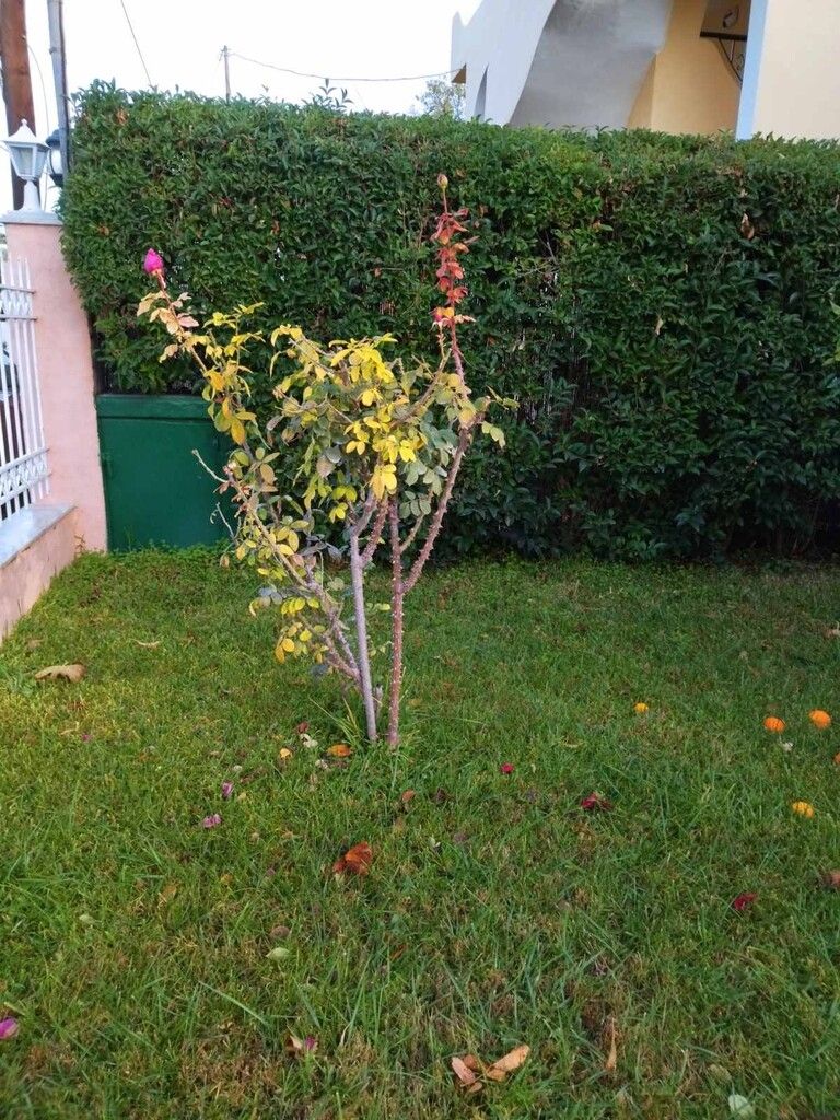 Дом в Аттике, Греция, 85 м² - фото 13