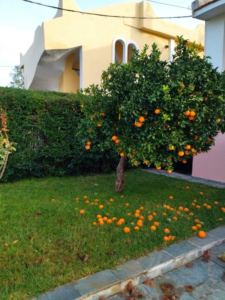 Дом в Аттике, Греция, 85 м² - фото 14